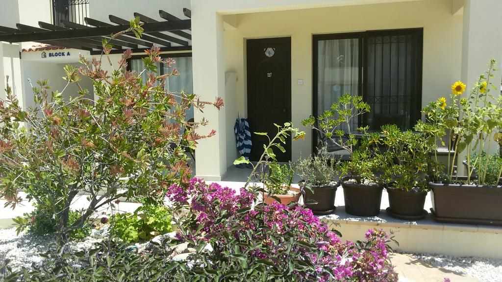 Faros Beach Paphos Extérieur photo